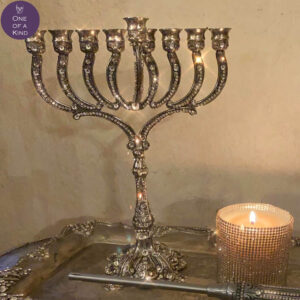 Lisa Carrier Menorah