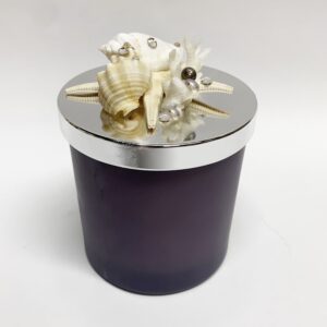 Lisa Carrier Designs