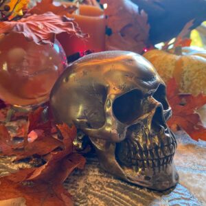 Lisa Carrier Designs Small Bronze Skull