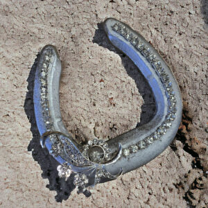 Lisa Carrier Silver Floral Horseshoe