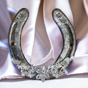 Lisa Carrier Pewter Crystal Horseshoe