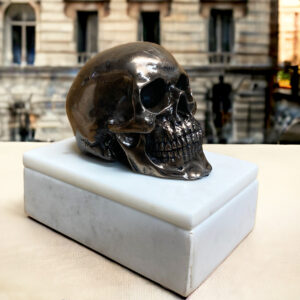Lisa Carrier Marble Skull Box