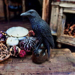 Lisa Carrier Gothic Raven