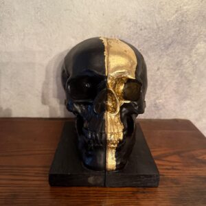 Lisa Carrier Skull Bookends