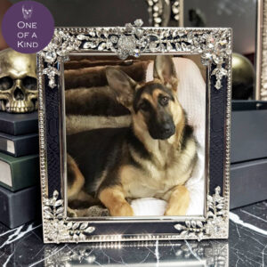 Lisa Carrier 6 x 7 Silver Crock Frame