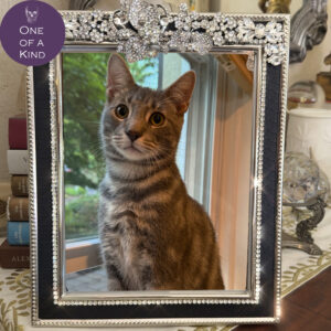 Lisa Carrier Croc and Crystal Frame