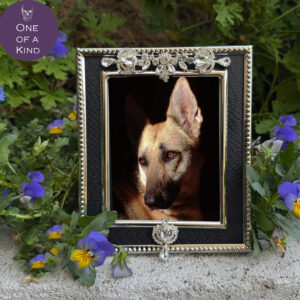 Lisa Carrier 8 x 10 Silver Croc Frame