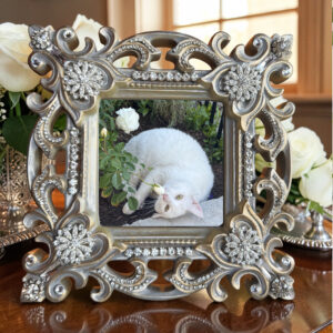 Lisa Carrier Small Filigree Crystal Frame