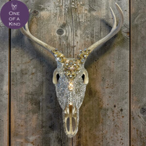 Lisa Carrier Large Natural Deer Skull